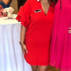 Zara ruffle sleeve dress